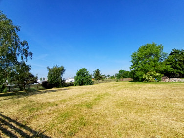Działka Młodasko