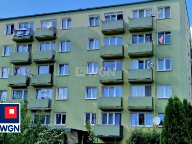 Mieszkanie Szprotawa