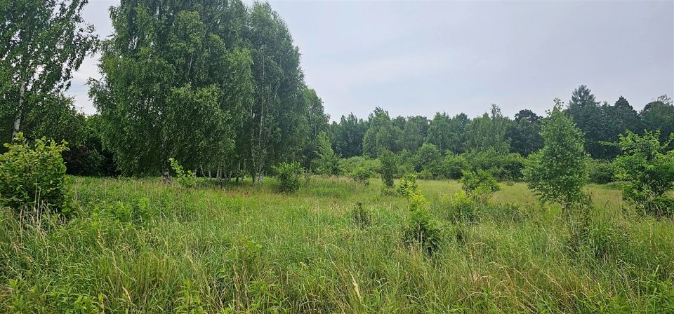Działka budowlano-rolna Nowa Schodnia