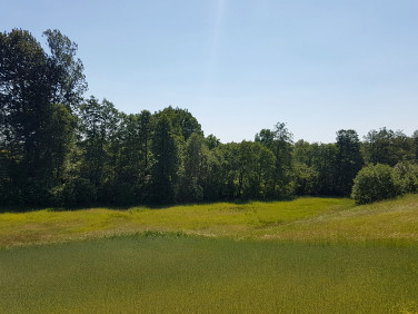 Działka rolna Chrztowo