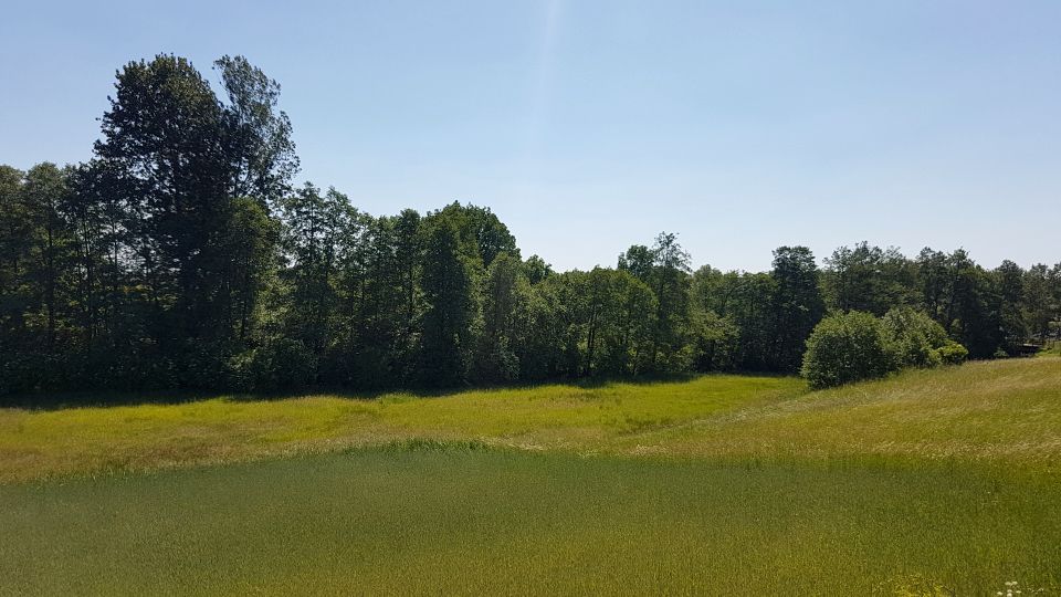 Działka rolna Chrztowo