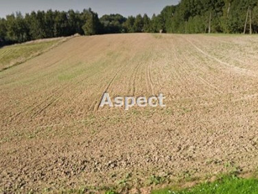 Działka budowlana Gogołowa sprzedam