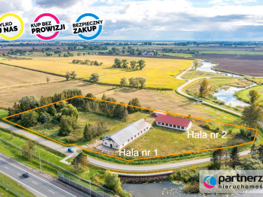 Lokal Nowy Dwór Gdański