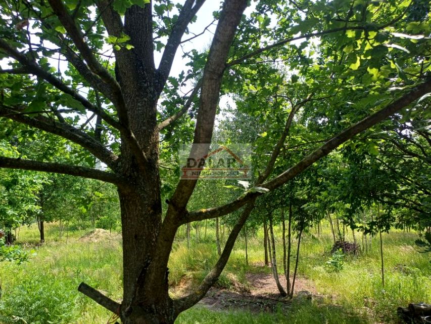 Działka budowlana Kozłów