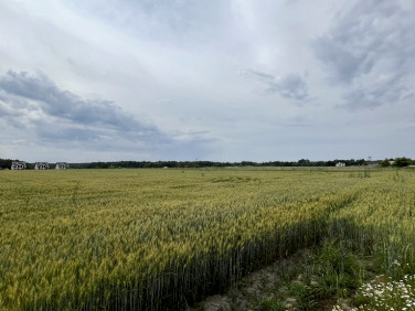 Działka budowlana Chełm Śląski