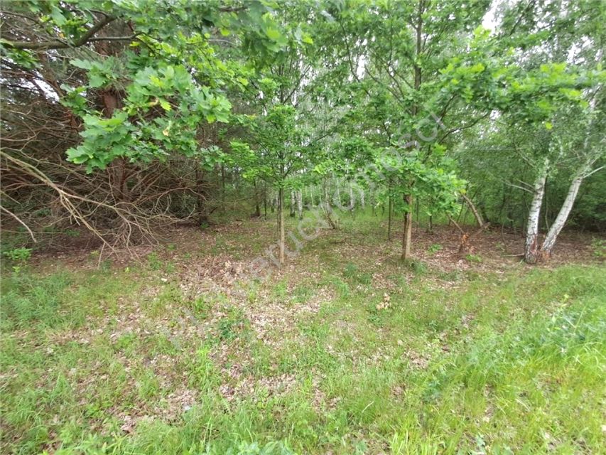 Działka Ojrzanów-Towarzystwo