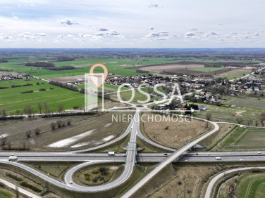Działka przy lesie