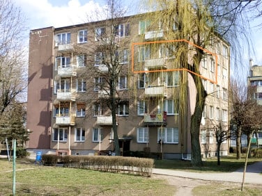 Mieszkanie Pakość