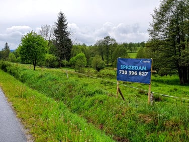 Działka Lesica