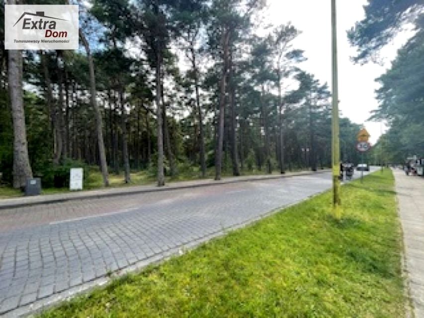 Zdjęcie 3