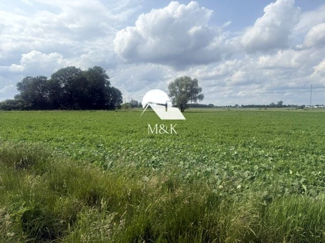 Zdjęcie 2