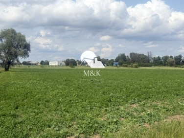 Działka rolna Brwinów