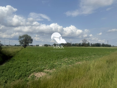 Działka rolna Brwinów