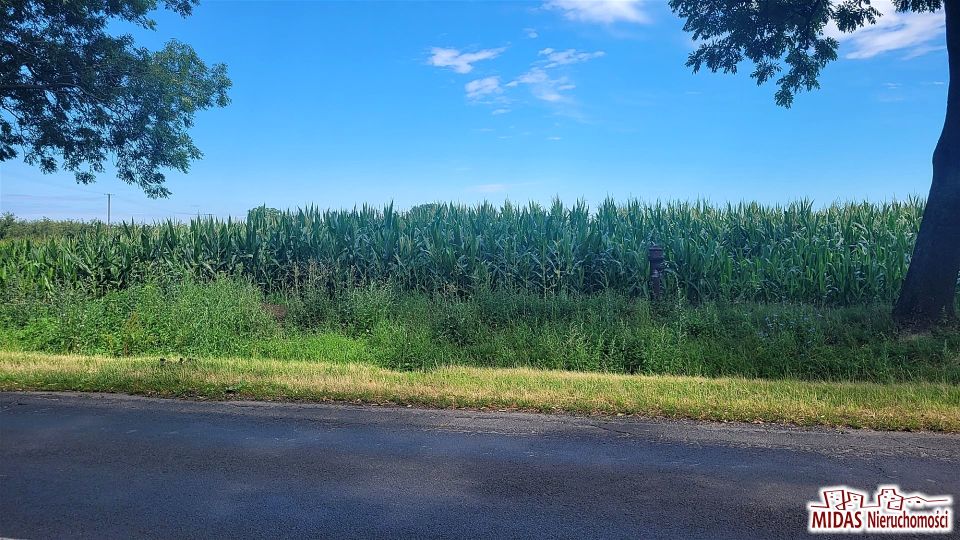 Działka budowlano-rolna Dobrzyń nad Wisłą