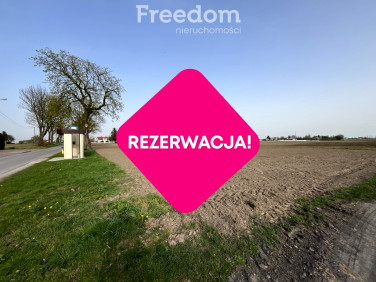 Działka Dębiny
