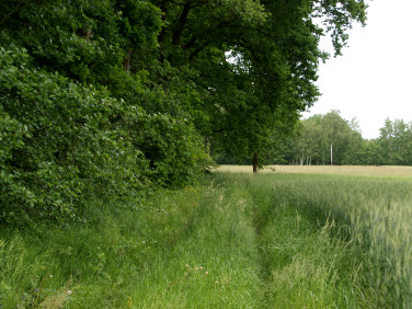 Działka budowlana Kalinowo