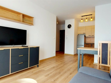 Mieszkanie apartamentowiec wynajem