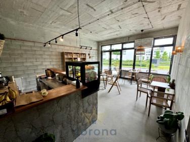 Lokal Warszawa
