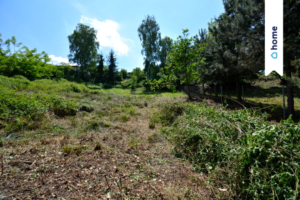 Działka Rogów