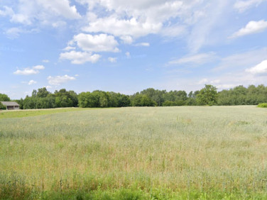 Działka inna Skowieszynek sprzedam