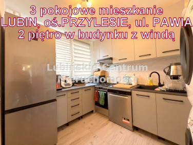 Mieszkanie Lubin