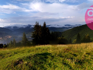 Działka rolna Szczawnica