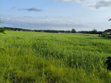 Pusta działka Krasiejów