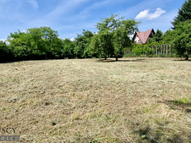 Działka budowlana Bolechowice