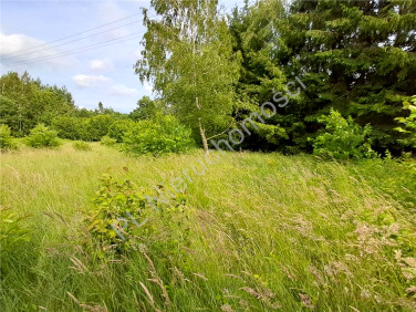 Działka budowlana Jastrzębnik