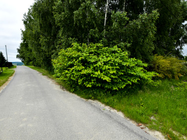 Działka budowlana Handzlówka