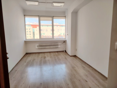 Lokal Rzeszów