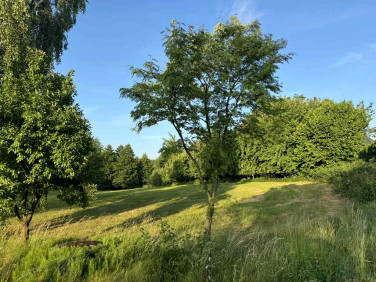 Działka budowlana sprzedam