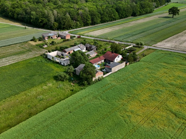 Dom Brzustów
