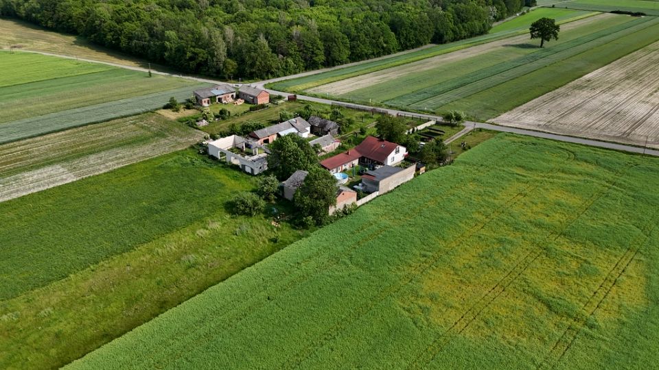 Dom Brzustów