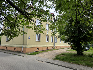Mieszkanie Ciechanów
