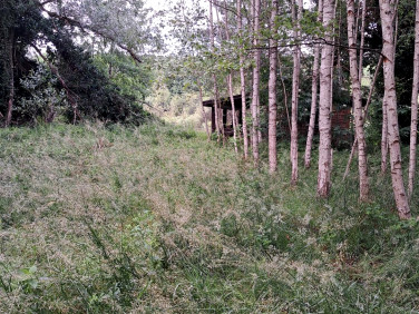 Działka inwestycyjna Miały