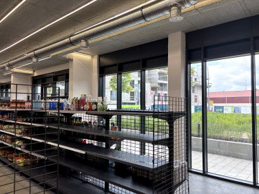 Lokal Warszawa
