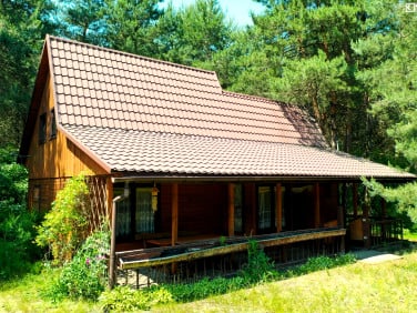 Dom Lejno