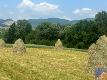 Działka Męcina
