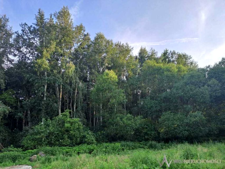 Działka Pietrzykowice