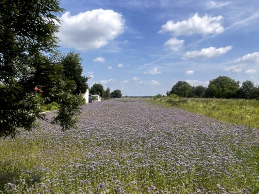 Działka usługowa Świdnik Duży
