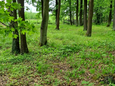 Działka budowlana Magdalenka
