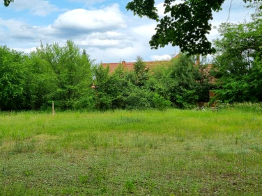 Działka budowlana Rozalin