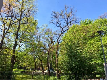 Mieszkanie Kraków