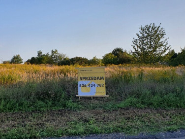 Działka budowlano-rolna Najdziszów