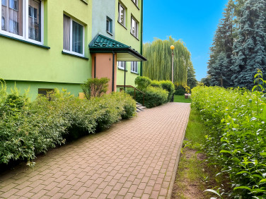 Mieszkanie Tarnów