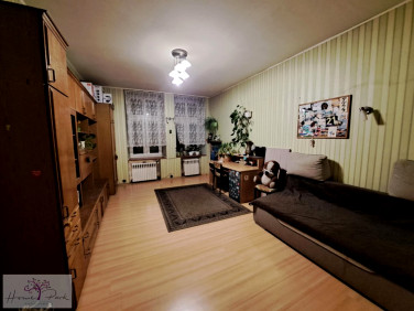 Mieszkanie Łódź