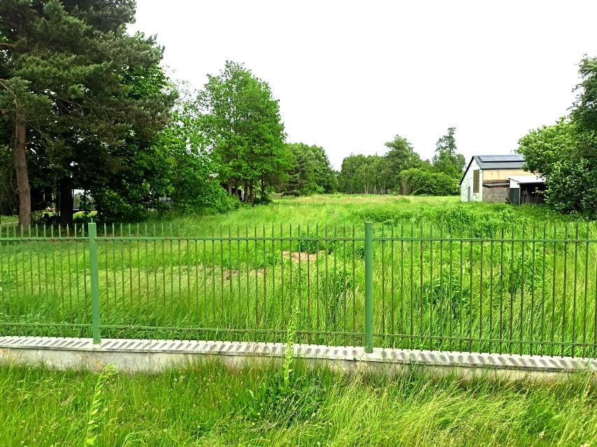 Zdjęcie 3