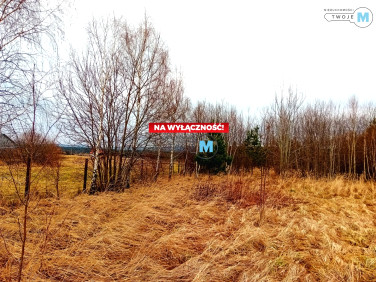 Działka Wilków