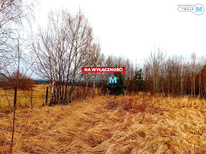 Działka Wilków